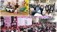 Kalender Event Jakarta yang Semakin Padat di Bulan Juli Mendorong Tren Liburan Akhir Pekan Berbasis Pengalaman