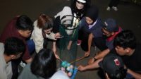 Semarak Malam BRILiaN Culture Festival, Pekerja BRI Region 6 Ikuti Games untuk Perkuat Teamwork dan Collaboration